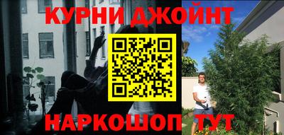 круглые Заводоуковск